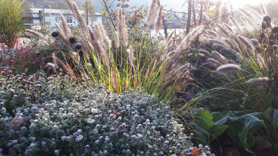 20201107_085503.jpg