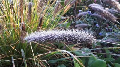 20201107_085439.jpg