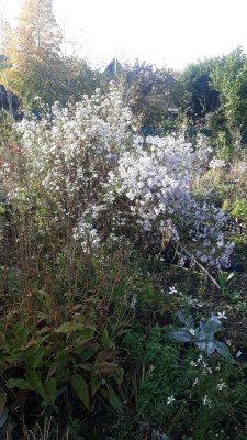 20201107_141028.jpg