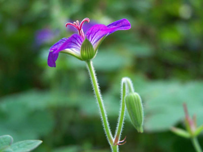 100_0923_Gerwlasso600.jpg