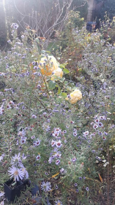 20201107_141055.jpg