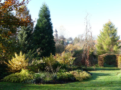2020-11-07 Gartenimpressionen 3.jpg