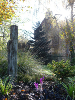 2020-11-07 Gartenimpressionen 4.jpg