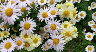 IMG_20201108_100223996_HDR~2.jpg