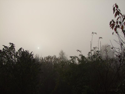 2020_0809NovemberNebel0001.JPG
