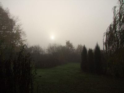 2020_0809NovemberNebel0009.JPG