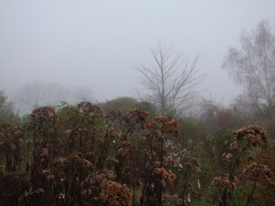 2020_0809NovemberNebel0002.JPG