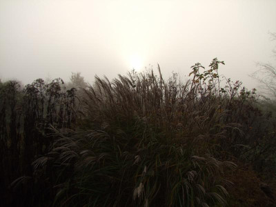 2020_0809NovemberNebel0011.JPG
