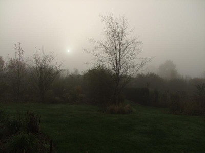 2020_0809NovemberNebel0012.JPG