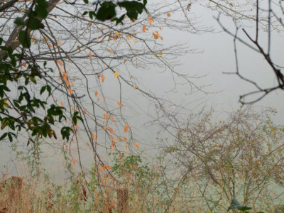 2020_0809NovemberNebel0080.JPG