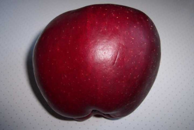 K640_100_4482.JPG