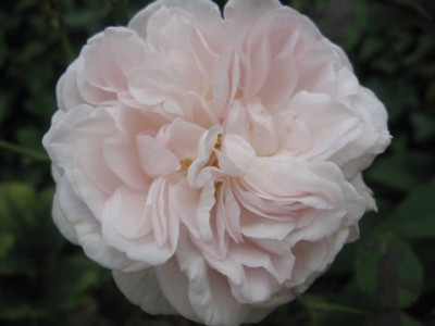 cymbeline_oktober07.jpg