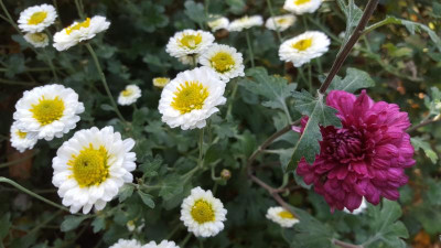 20201108_113407.jpg