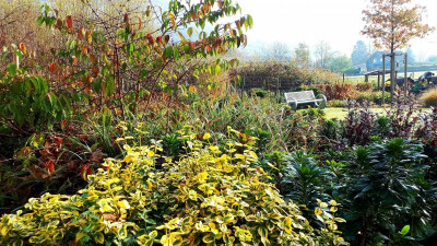 20201109_104049.jpg