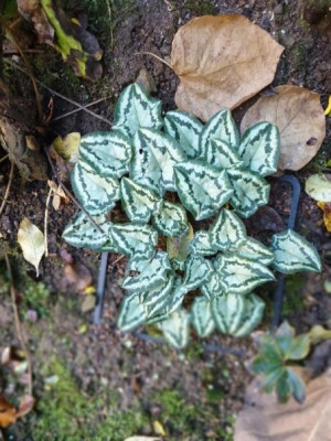 20201105_152757.jpg