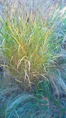 WP_20201107_14_22_43_Pro.jpg