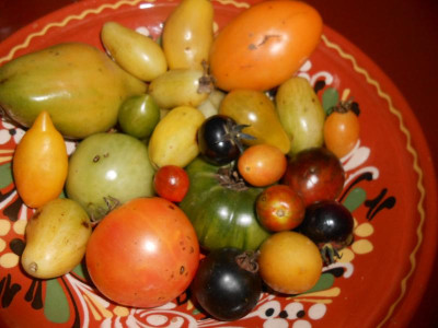 DSCN1020.JPG
