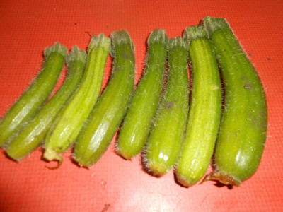 DSCN1029.JPG