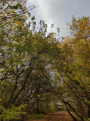 20201113_121121.jpg