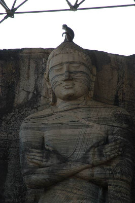 071449_polonnaruwa_buddha.jpg