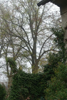 Novembermorgen.jpg