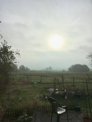 ED38A38A-BBF5-4DE4-B281-5B6E0EC14D91.jpeg