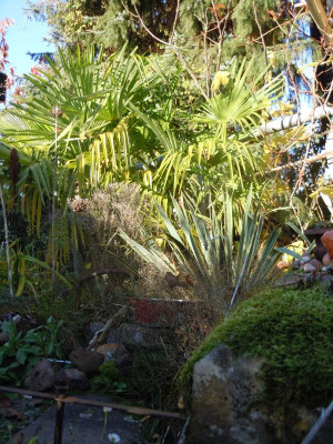 DSCN0397.JPG