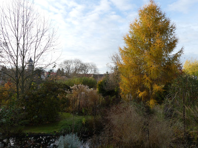 2020-11-14 Garteneinblick 4.jpg