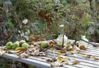 2020-11-14 Gartenimpressionen 11.jpg