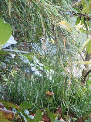 DSCN0467.JPG