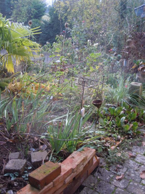 DSCN0469.JPG