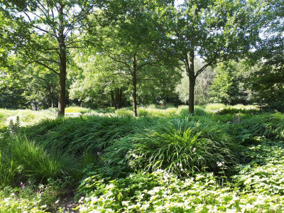 20180627_165220.jpg