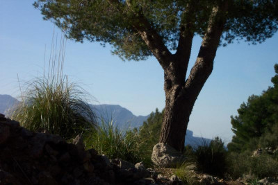 100_4646.JPG