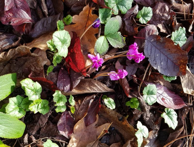 20201116_075120.jpg