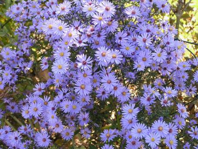 071007_07a.jpg
