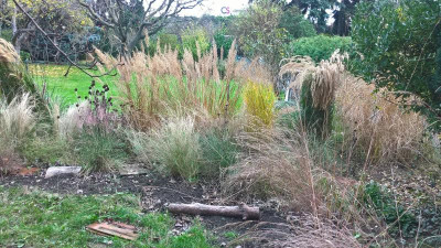 WP_20201114_11_56_34_Pro.jpg