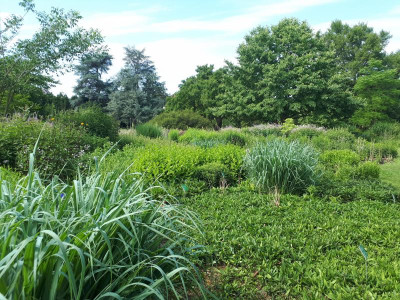 20180531_110458.jpg