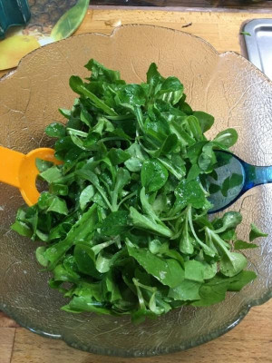 Feldsalat.JPG