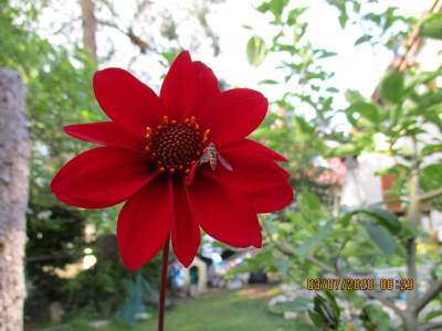 IMG_0036.JPG
