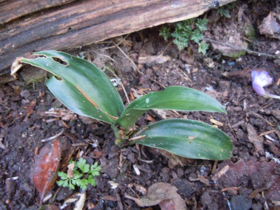 DSCN0476.JPG