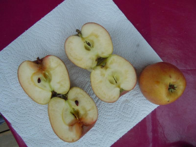 DSCN0473.JPG