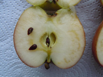 DSCN0474.JPG