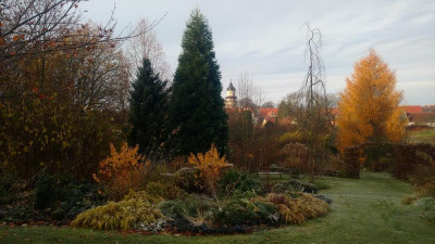 IMG_20201121_093041537.jpg
