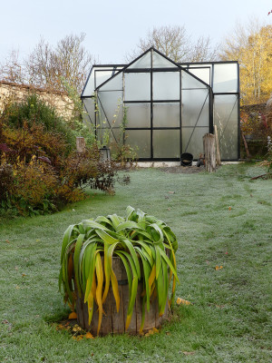 2020-11-21 Gartenimpressionen 6.jpg