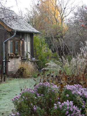 2020-11-21 Gartenimpressionen 7.jpg