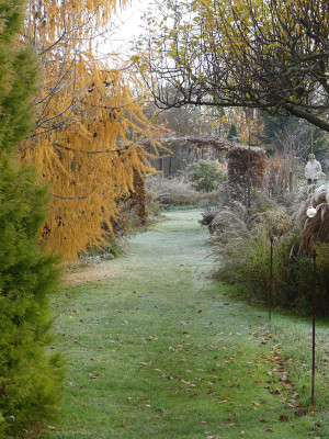 2020-11-21 Gartenimpressionen 10.jpg