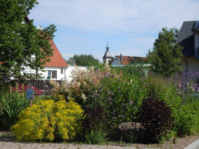 DSCN9753.JPG