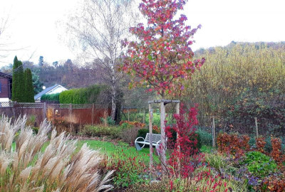 20201104_133454.jpg