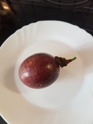 Edulis_Frucht2_2.jpg