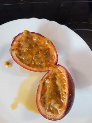 Edulis_Frucht2_1.jpg